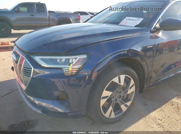 WA1LAAGE2MB016318 2021 AUDI E-TRON Blue Widok z przodu