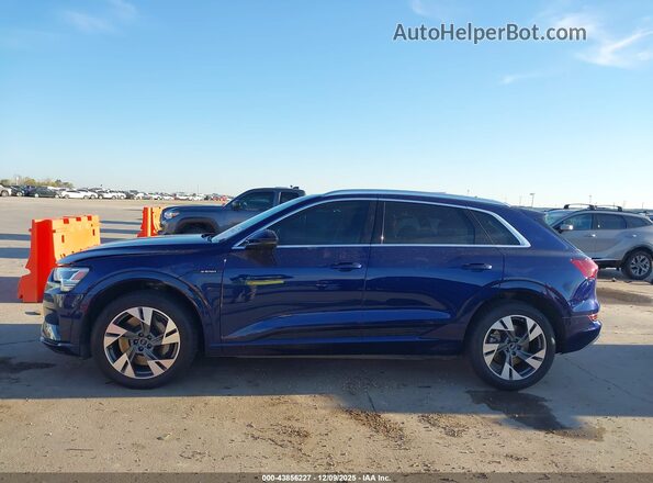 WA1LAAGE2MB016318 2021 AUDI E-TRON Blue Widok wnętrza 360 stopni