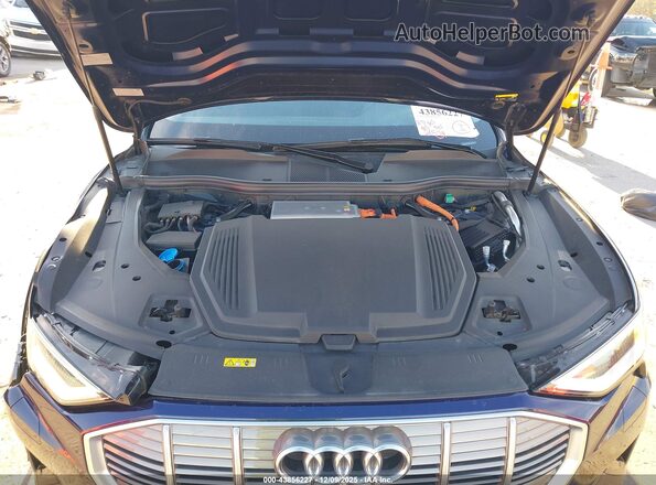 WA1LAAGE2MB016318 2021 AUDI E-TRON Blue Widok z tyłu