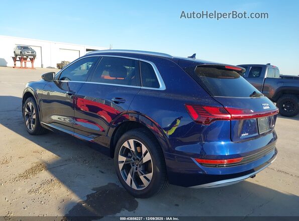 WA1LAAGE2MB016318 2021 AUDI E-TRON Blue Tył lewy