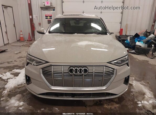 WA1VABGE7KB012731 2019 AUDI E-TRON Серый Вид щитка приборов