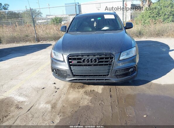 WA1VCAFP7HA007678 2017 AUDI SQ5 Серый Вид щитка приборов