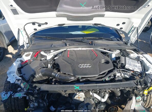WAUA4CF52SA004705 2025 AUDI S5 White Вид ззаду