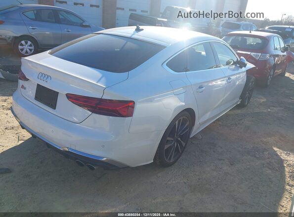 WAUA4CF52SA004705 2025 AUDI S5 White Задня права чверть