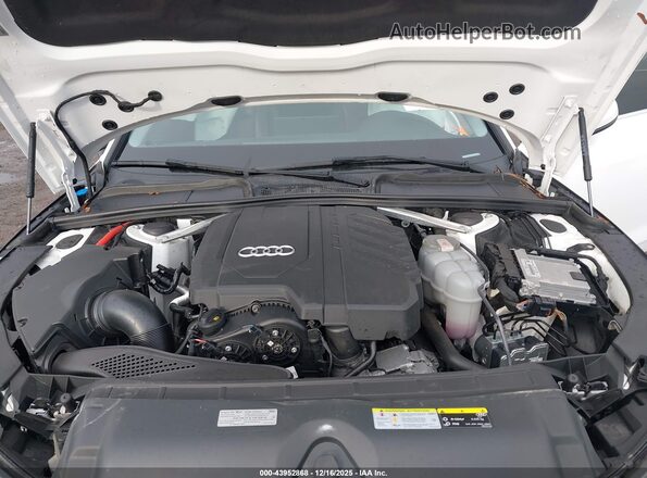 WAUABAF49NN012993 2022 AUDI OTHER White Հետևի տեսք