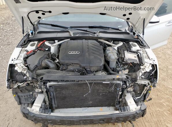 WAUABCF50NA014675 2022 AUDI OTHER White Սալոնի հետևի տեսք
