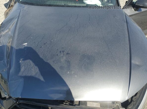 WAUB1GFFXJ1064081 2018 AUDI S3 Gray Սալոնի հետևի տեսք