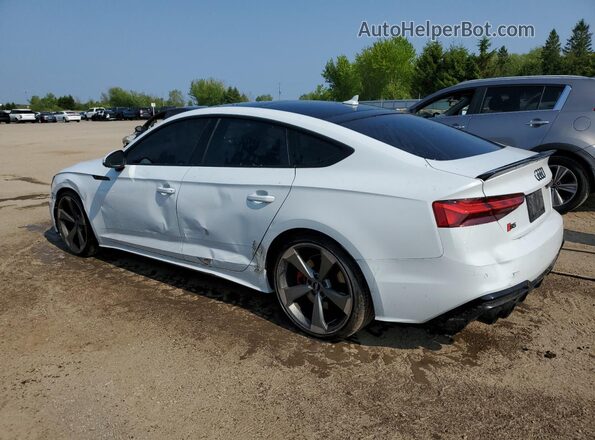 WAUB4CF5XLA002562 2020 AUDI S5 White Задня ліва чверть