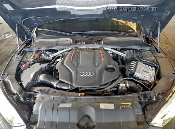 WAUC4CF53PA048891 2023 AUDI S5 Gray უკანა სალონის ხედი