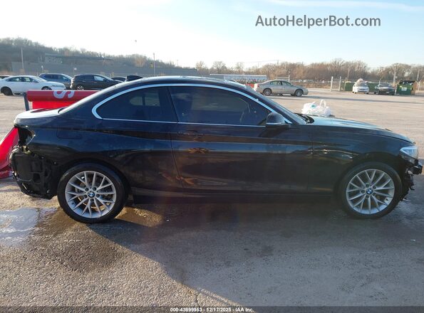 WBA1F9C51GV546461 2016 BMW 2 SERIES Черный Панорамный вид салона 360°