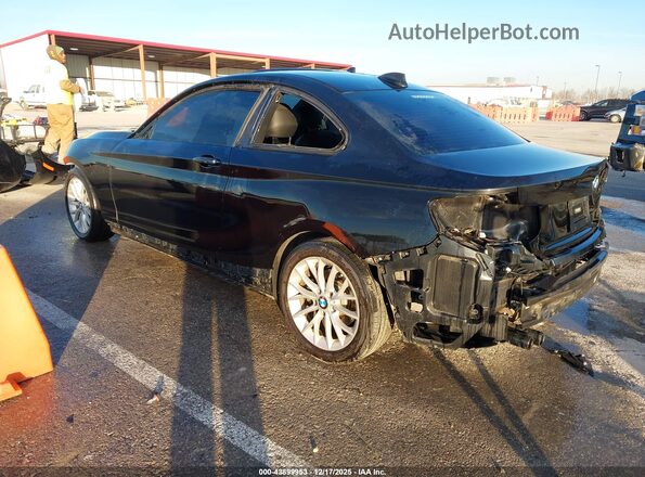 WBA1F9C51GV546461 2016 BMW 2 SERIES Черный Задняя левая четверть