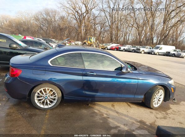 WBA1F9C57GV544424 2016 BMW 2 SERIES Dark Blue Սալոնի հետևի տեսք