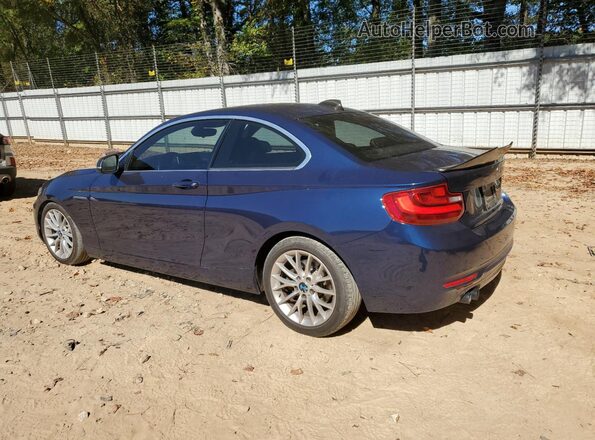 WBA1F9C59GV742308 2016 BMW 2 SERIES Blue უკანა მარცხენა