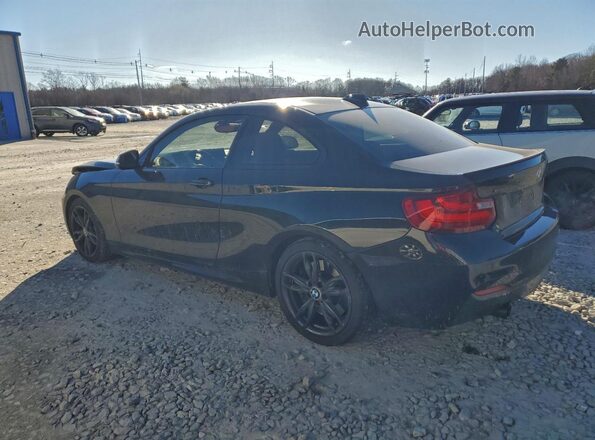 WBA1J9C51GV372177 2016 BMW M2 Black Trasero izquierdo
