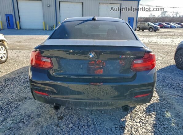 WBA1J9C51GV372177 2016 BMW M2 Black Vista trasera