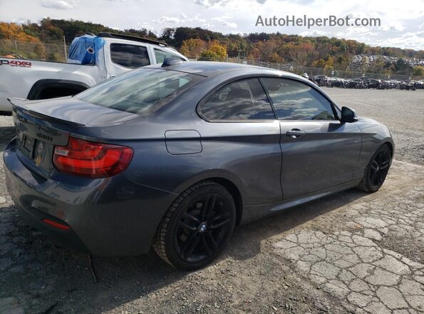 WBA2H9C3XHV642460 2017 BMW 2 SERIES Gray უკანა მარჯვენა