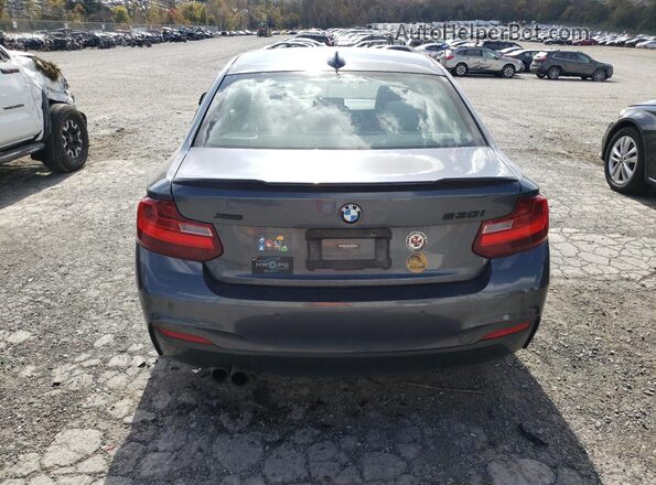 WBA2H9C3XHV642460 2017 BMW 2 SERIES Gray უკანა ხედი