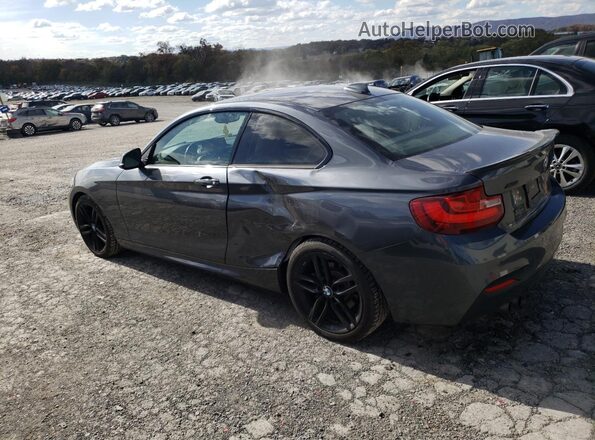 WBA2H9C3XHV642460 2017 BMW 2 SERIES Gray უკანა მარცხენა
