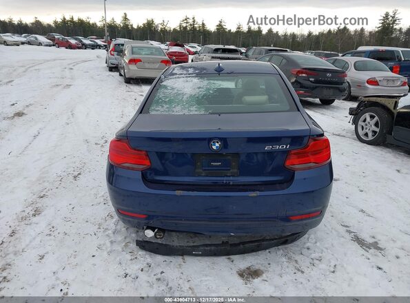 WBA2J1C57K7D45622 2019 BMW 2 SERIES Blue 