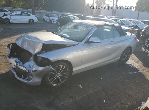 WBA2K1C0XL7G07443 2020 BMW 2 SERIES Серебряный Панорамный вид салона 360°