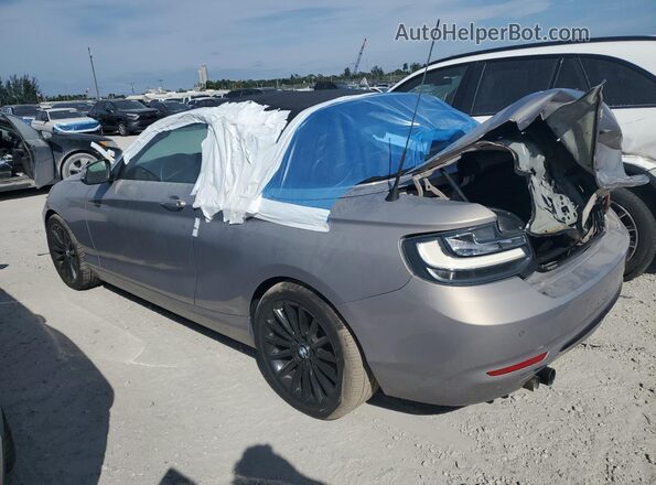 WBA2K9C35H7A26285 2017 BMW 2 SERIES Tan უკანა მარცხენა