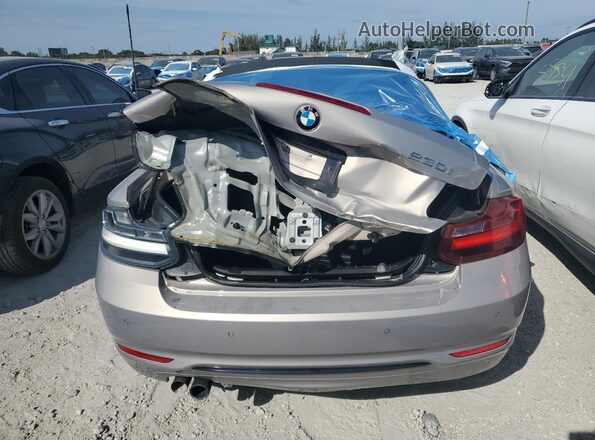 WBA2K9C35H7A26285 2017 BMW 2 SERIES Tan უკანა ხედი