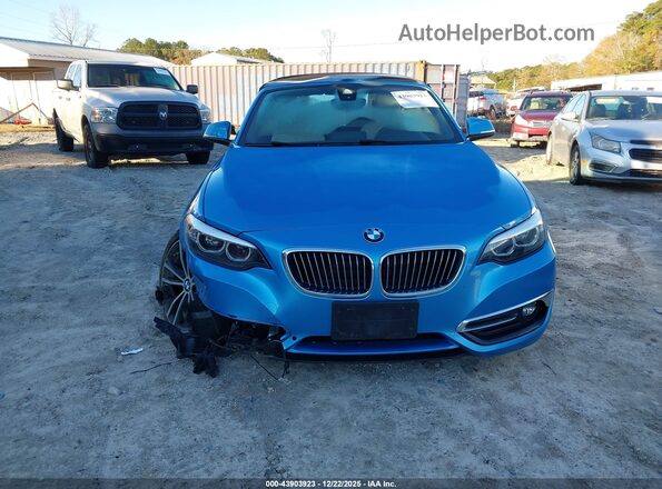 WBA2M7C50K7D47450 2019 BMW 2 SERIES Blue Вид задньої частини салону