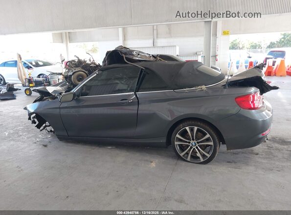 WBA2M7C55JVD51181 2018 BMW 2 SERIES Gray Панорамний вид салону 360°