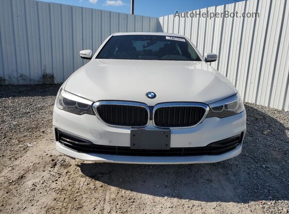 WBAJR7C01LWW60819 2020 BMW 5 SERIES White წინა ხედი