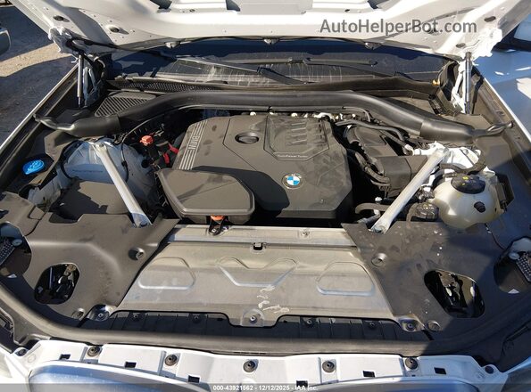 WBX47DP05RN303756 2024 BMW X3 White Հետևի տեսք