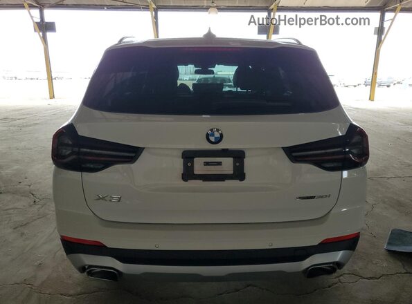 WBX47DP06RN280438 2024 BMW X3 Белый Вид сзади