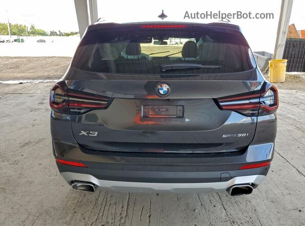 WBX47DP08RN280537 2024 BMW X3 Gray Rear view