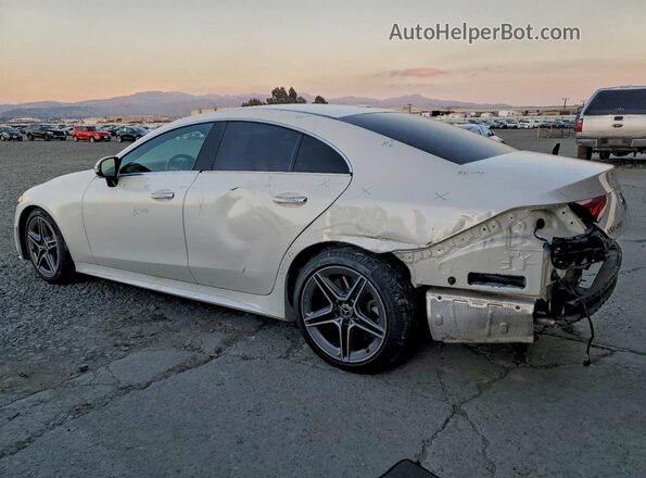 WDD2J5JB8KA009423 2019 MERCEDES-BENZ CLS-CLASS White Tył lewy
