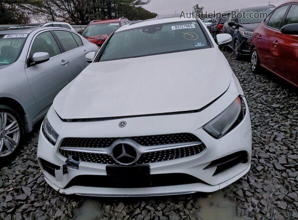 WDD2J5KB6KA036280 2019 MERCEDES-BENZ CLS-CLASS White Vista frontal