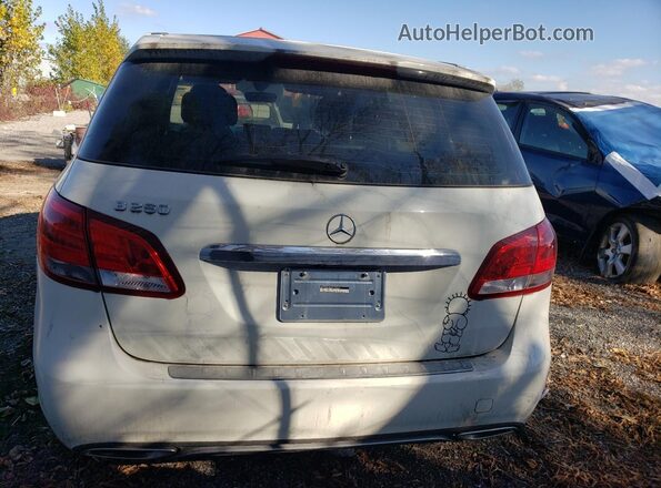 WDDMH4EB6HJ439274 2017 MERCEDES-BENZ B-CLASS White Rear view