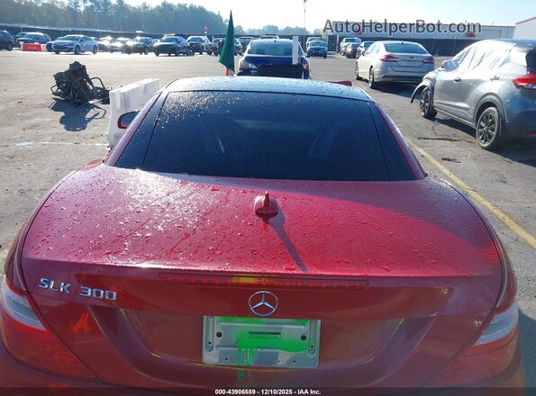 WDDPK3JA0GF115115 2016 MERCEDES-BENZ SLK 300 Red VIN կոդի պիտակի տեսք