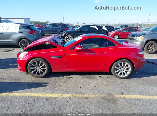 WDDPK3JA0GF115115 2016 MERCEDES-BENZ SLK 300 Red Սալոնի հետևի տեսք