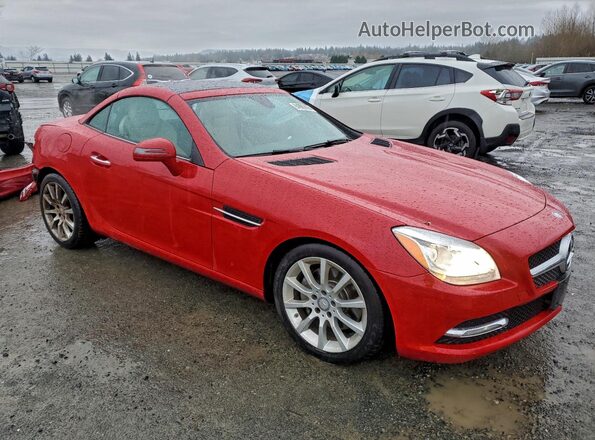 WDDPK3JA5GF117667 2016 MERCEDES-BENZ SLK Red Առջևի աջ