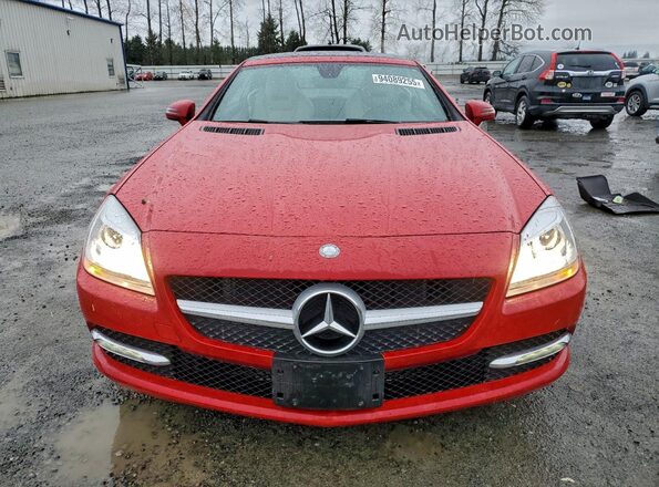 WDDPK3JA5GF117667 2016 MERCEDES-BENZ SLK Red Դիմացի տեսք