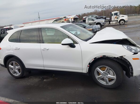 WP1AA2A25GLA00645 2016 PORSCHE CAYENNE Белый Вид задней части салона