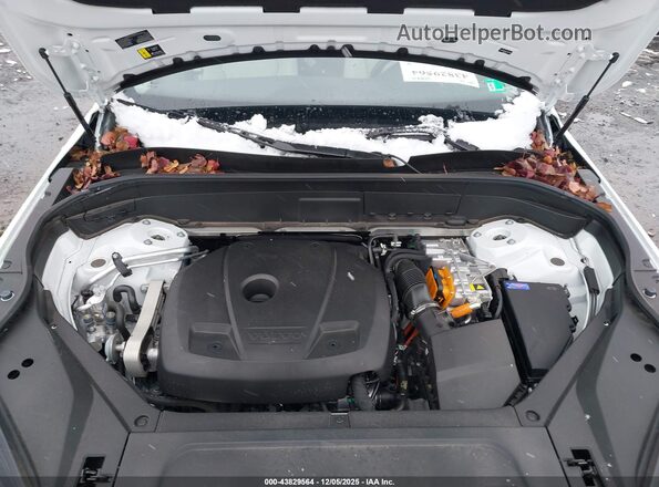 YV4H60PE6S1292458 2025 VOLVO XC90 PLUG-IN HYBRID Белый Вид сзади