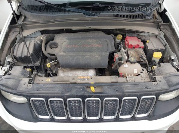 ZACNJBAB3KPK55136 2019 JEEP RENEGADE Белый Вид сзади