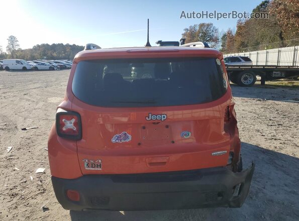 ZACNJBBB3KPK73330 2019 JEEP RENEGADE Оранжевый Вид сзади