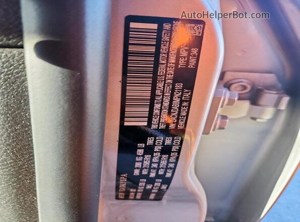 ZACNJDAB8MPN21183 2021 JEEP RENEGADE Silver Vista de la etiqueta del VIN