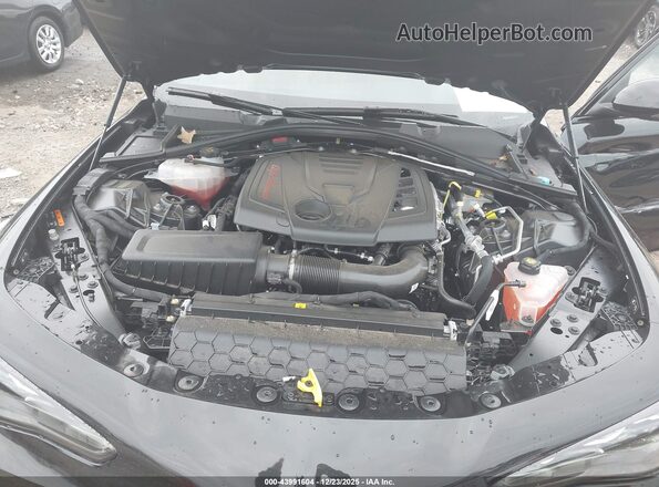 ZARFAMBN5R7679958 2024 ALFA ROMEO GIULIA Black Widok z tyłu