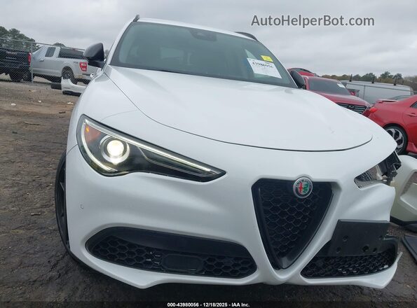 ZASPAJAN0L7C75625 2020 ALFA ROMEO STELVIO White Widok zestawu wskaźników