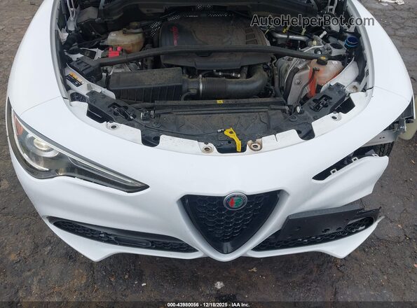 ZASPAJAN0L7C75625 2020 ALFA ROMEO STELVIO White Widok z tyłu
