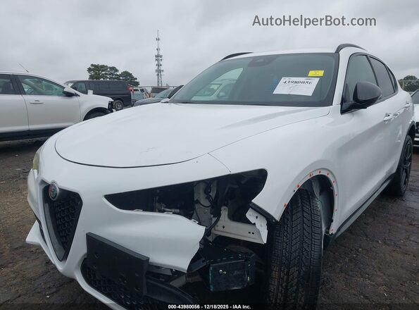 ZASPAJAN0L7C75625 2020 ALFA ROMEO STELVIO White Widok z przodu