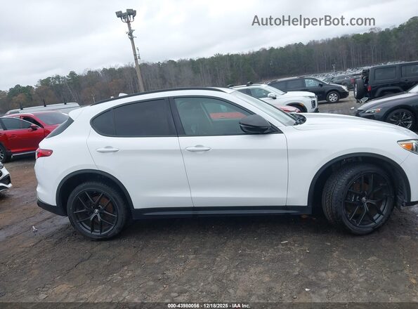 ZASPAJAN0L7C75625 2020 ALFA ROMEO STELVIO White Widok wnętrza z tyłu