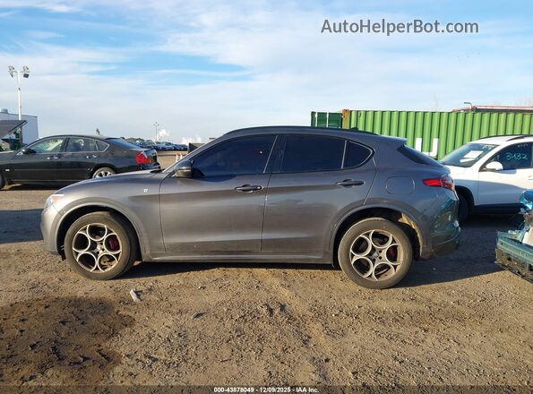 ZASPAKBN0N7D37161 2022 ALFA ROMEO STELVIO Gray Սալոնի 360 աստիճան տեսք